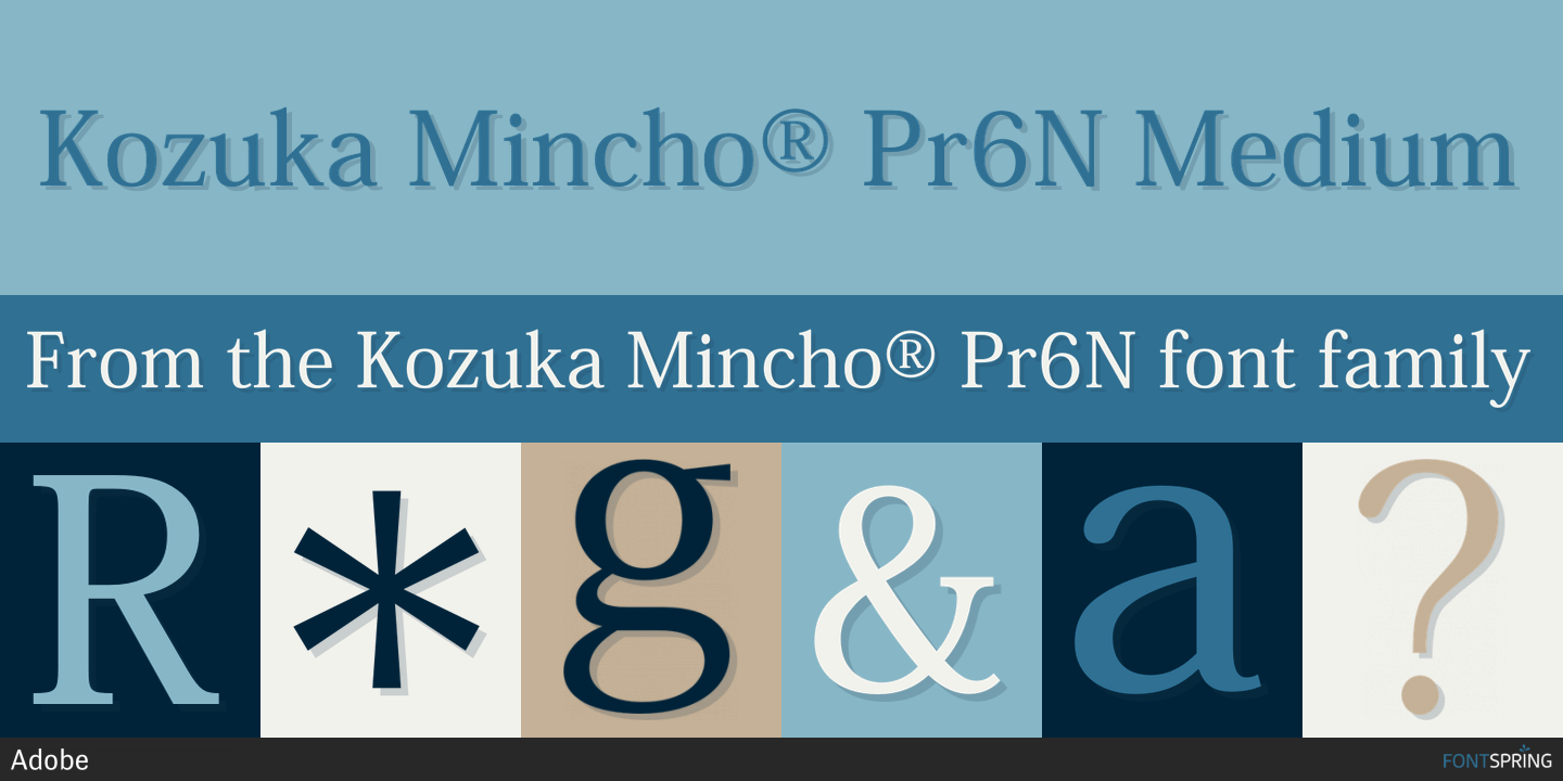 Beispiel einer Kozuka Mincho Pro-Schriftart