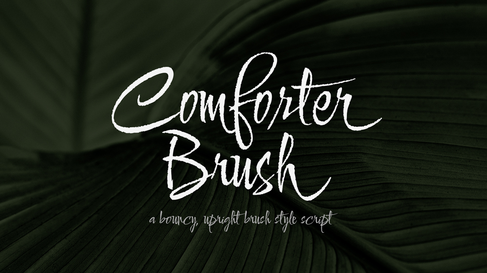 Beispiel einer Comforter Brush-Schriftart