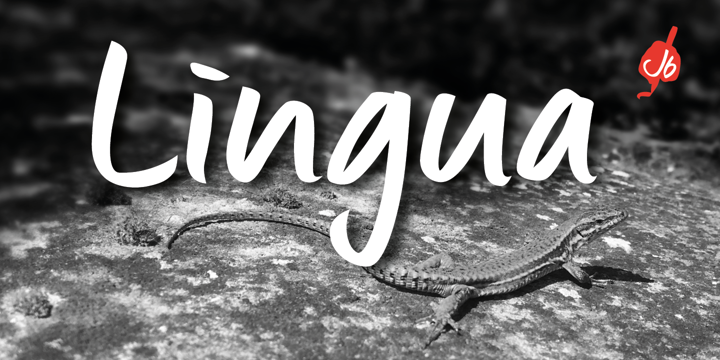 Beispiel einer Lingua Regular-Schriftart