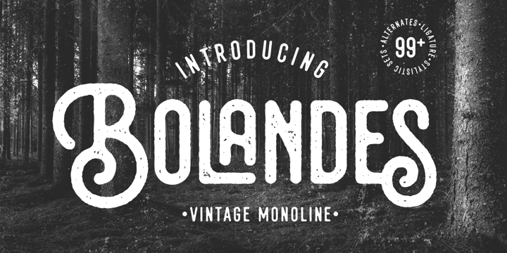 Beispiel einer Bolandes Bold-Schriftart