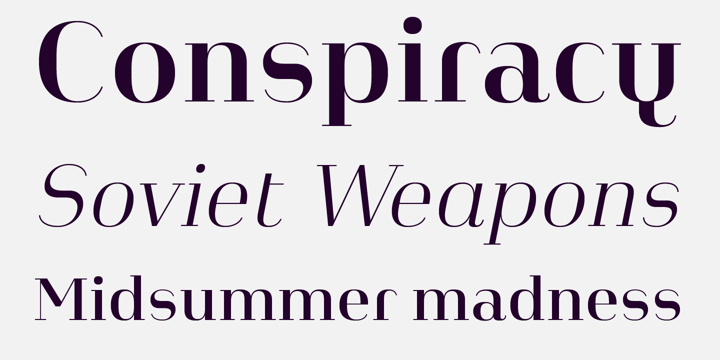 Beispiel einer Heimat Didone 10 Light Italic-Schriftart