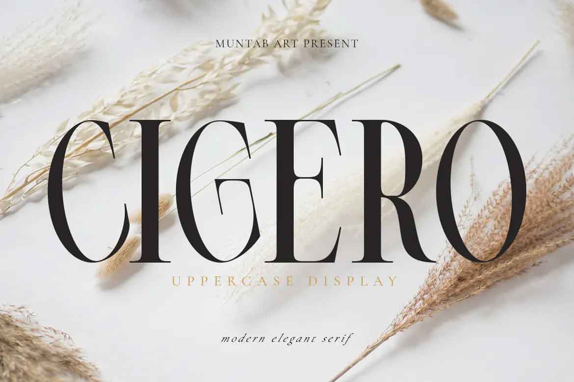 Beispiel einer Cigero Regular-Schriftart