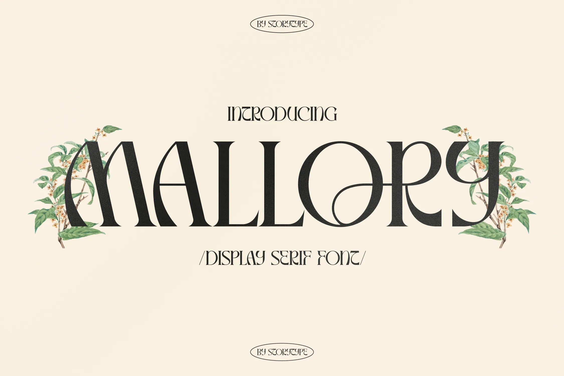 Beispiel einer Mallory Display Serif-Schriftart