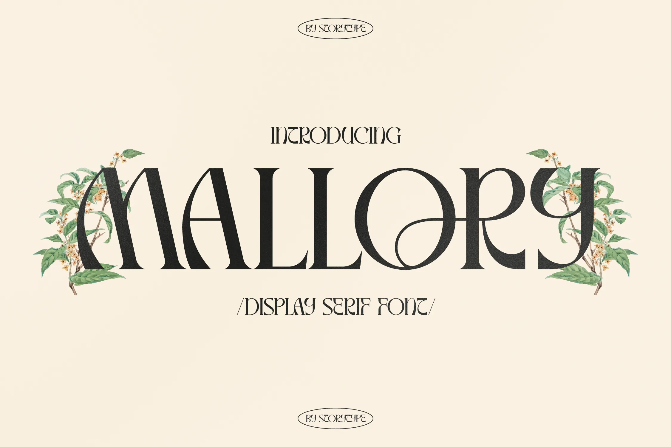 Beispiel einer Mallory Display Serif Italic-Schriftart