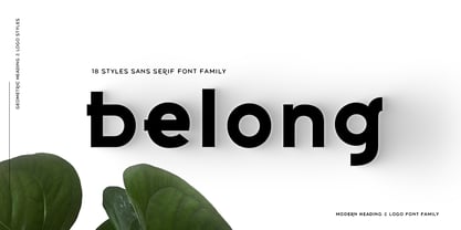 Beispiel einer Belong Sans SemiBold Italic-Schriftart