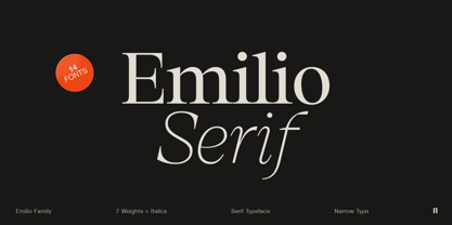 Beispiel einer Emilio Light Italic-Schriftart