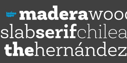 Beispiel einer Roble Book Italic-Schriftart