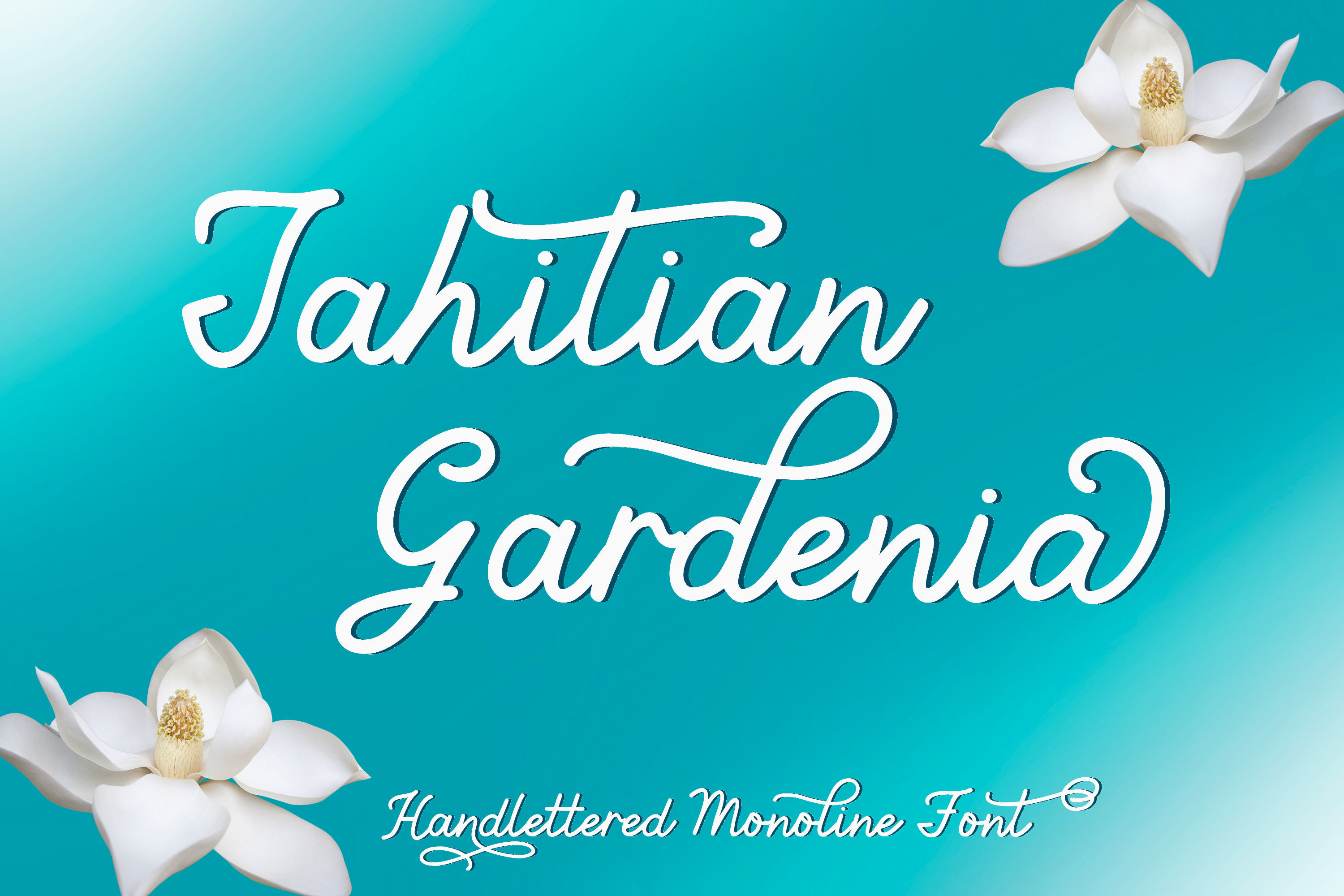 Beispiel einer Tahitian Gardenia-Schriftart