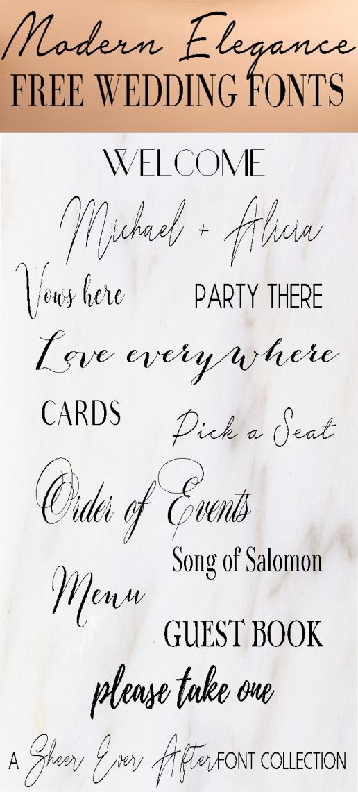 Beispiel einer Elegant Wedding-Schriftart