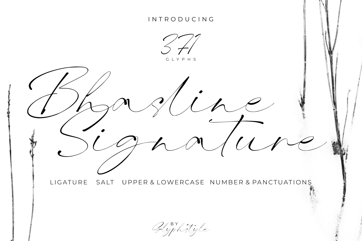 Beispiel einer Bhasline Signature Regular-Schriftart