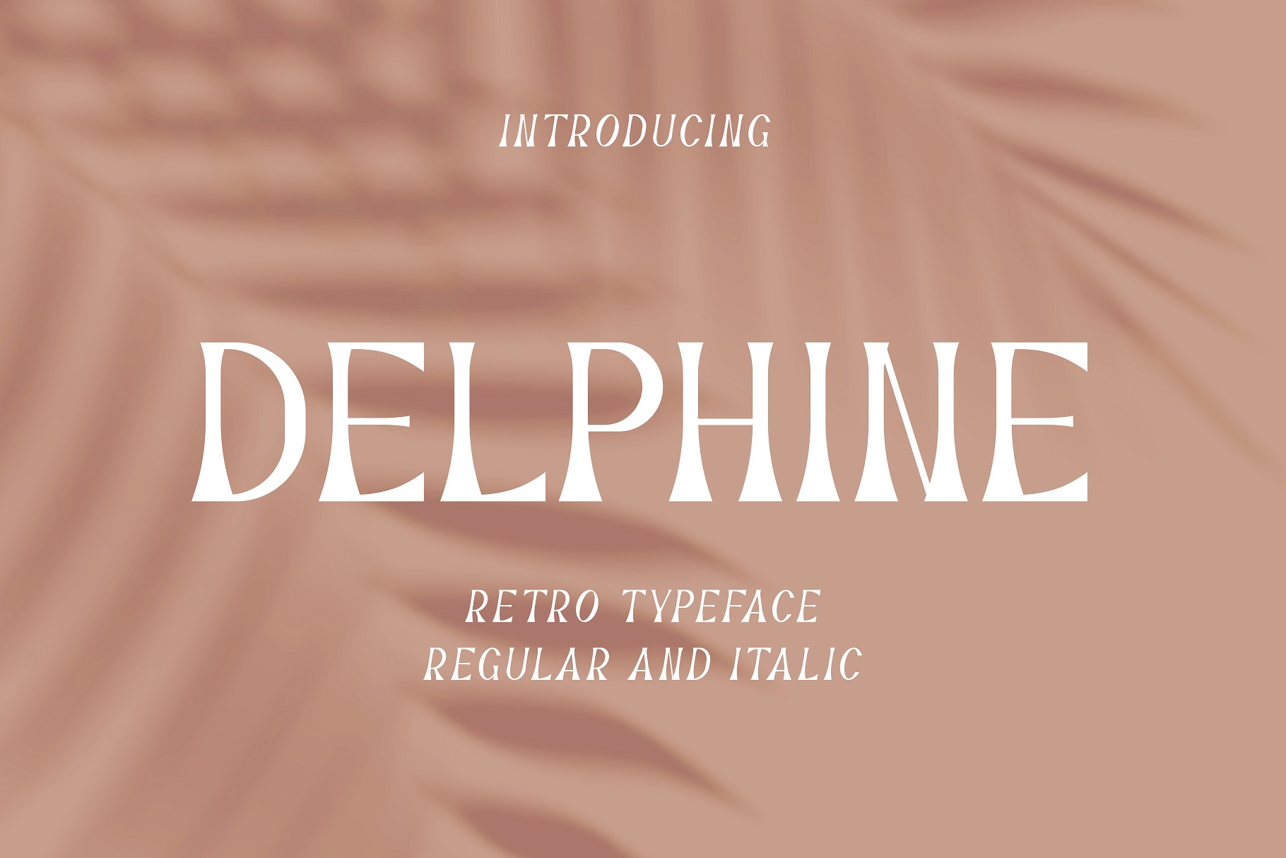 Beispiel einer Delphine Regular-Schriftart