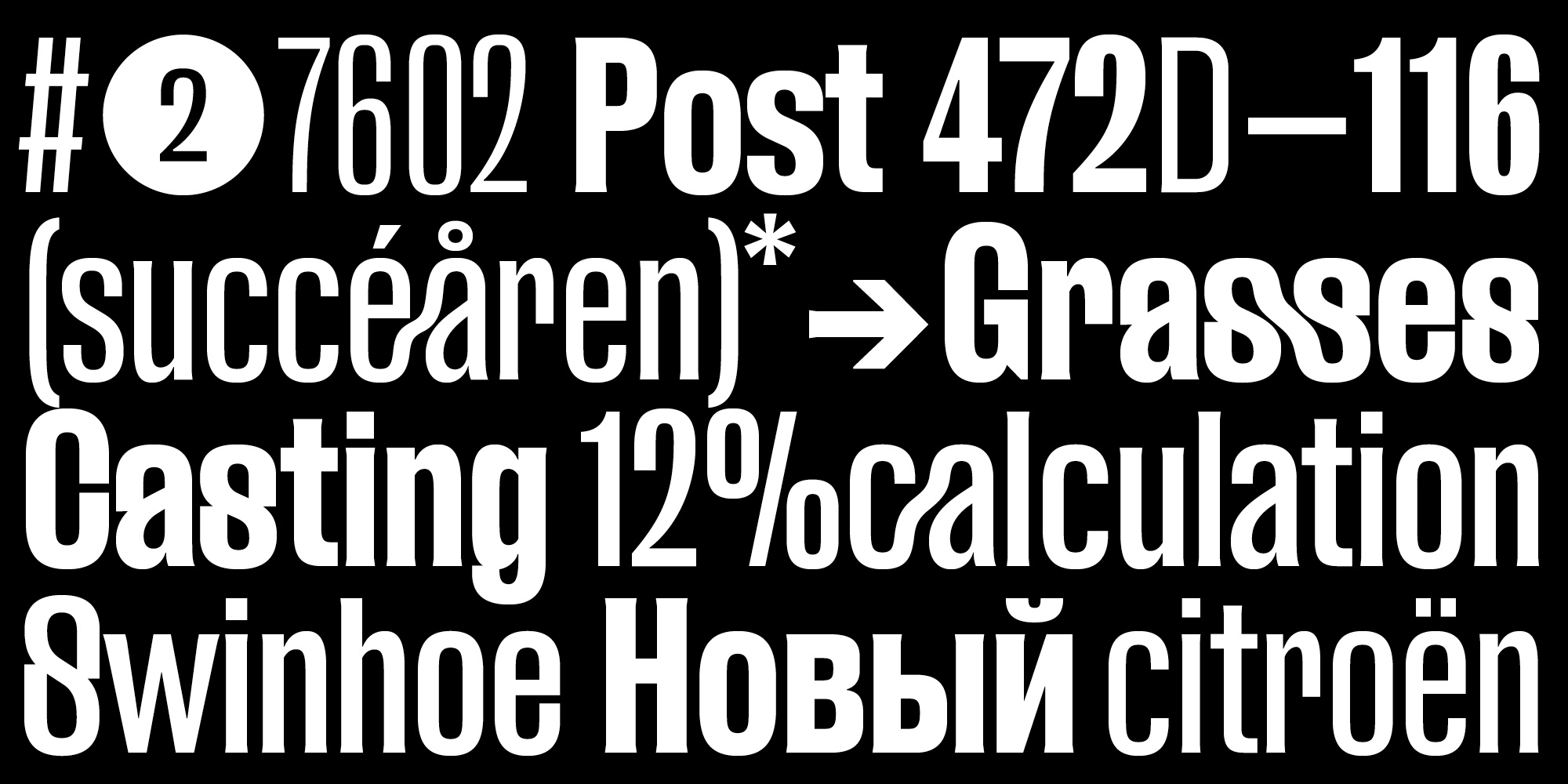 Beispiel einer FUD Grotesk Bold-Schriftart