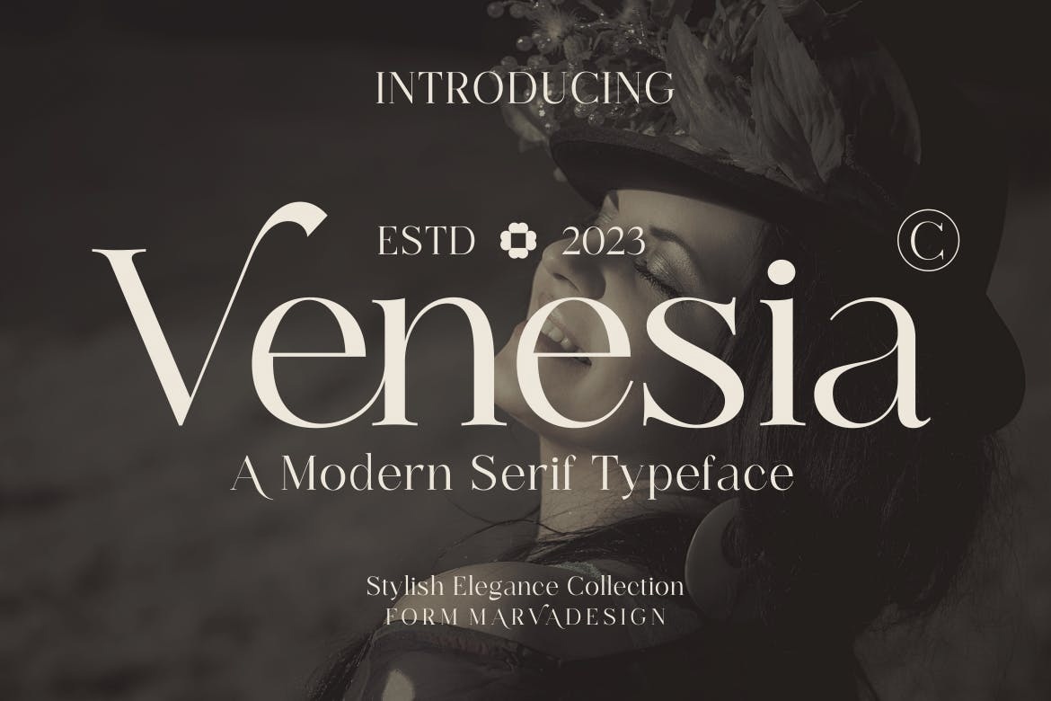 Beispiel einer Venesia Regular-Schriftart