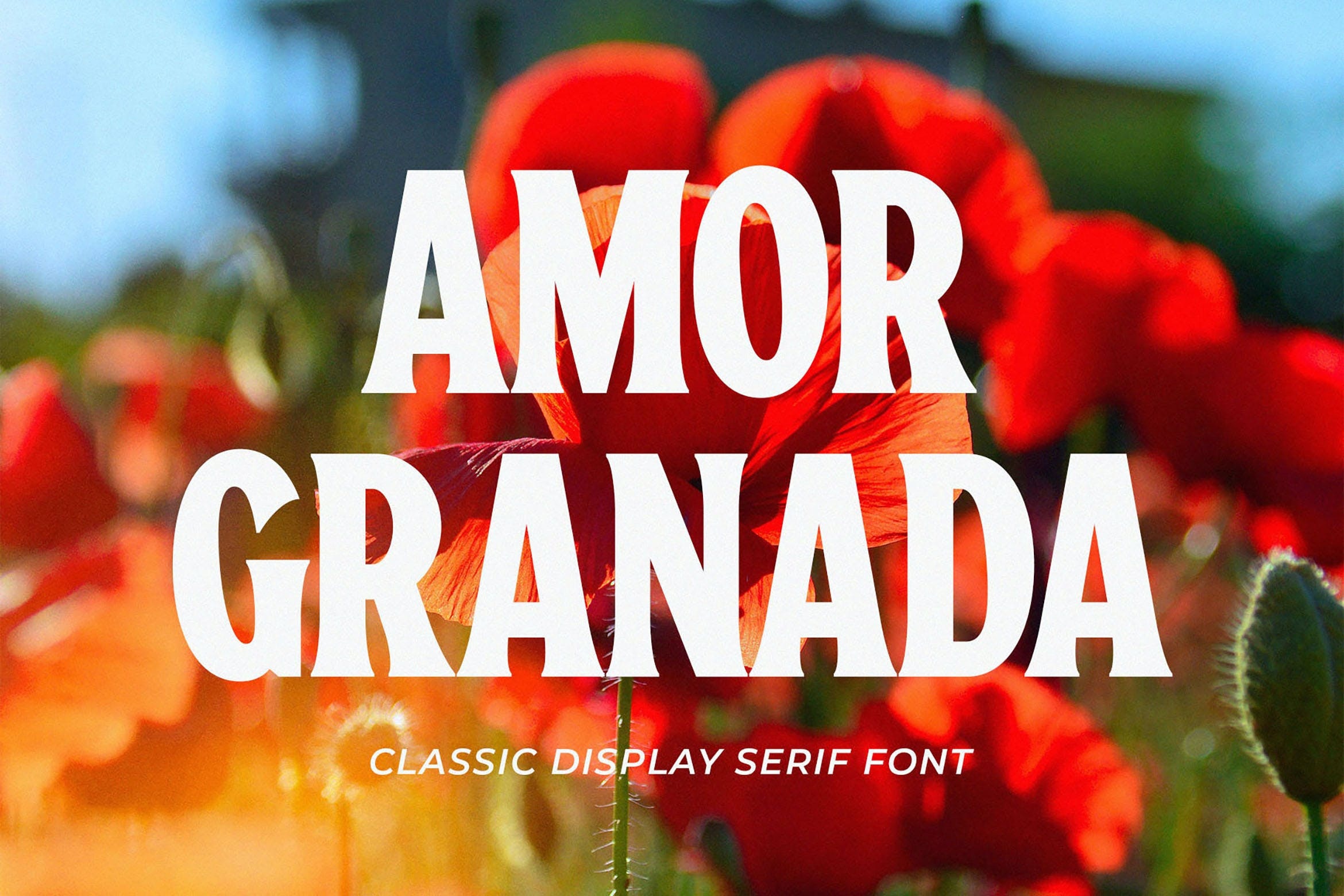 Beispiel einer Amor Granada-Schriftart