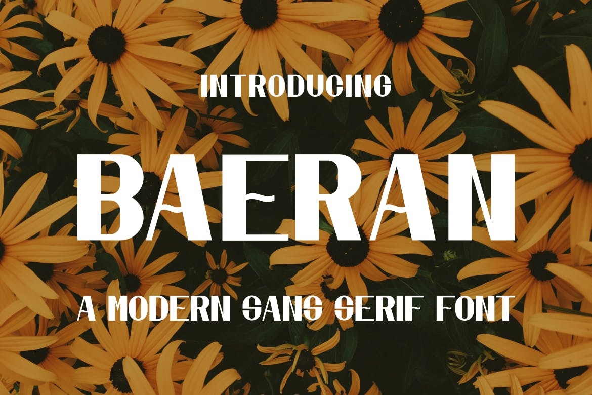 Beispiel einer Baeran-Schriftart