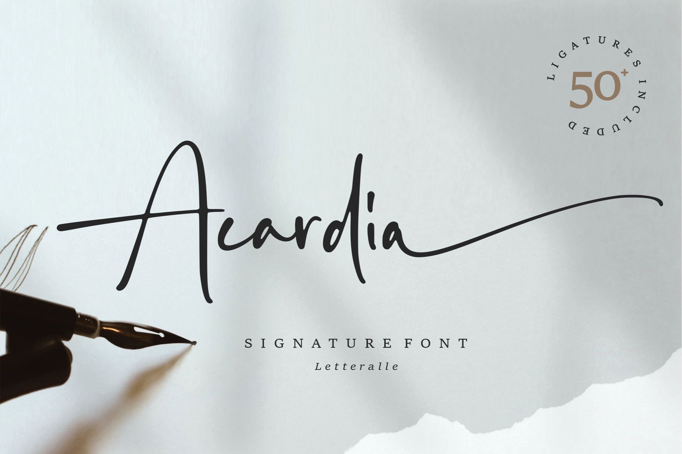 Beispiel einer Acardia Signature Regular-Schriftart