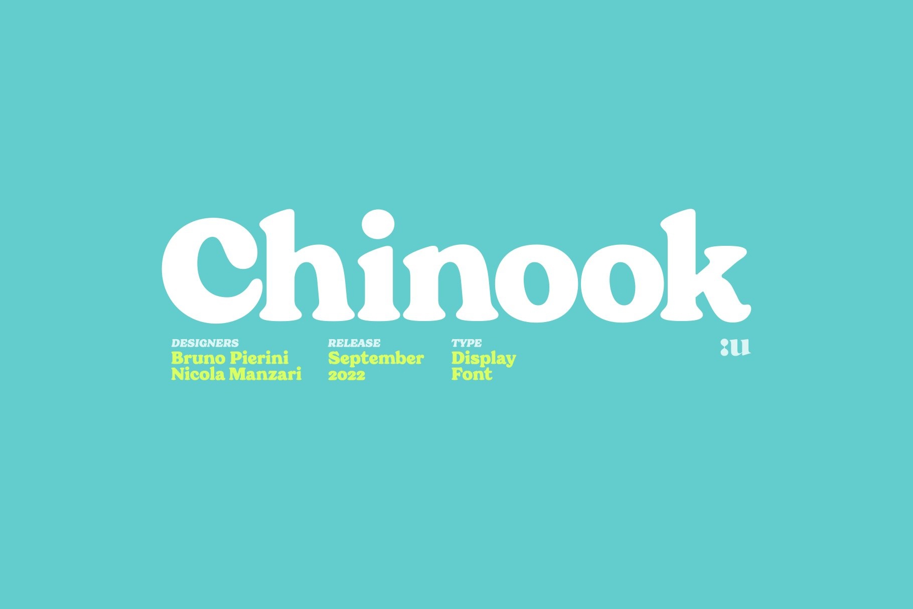 Beispiel einer Chinook Display Italic-Schriftart