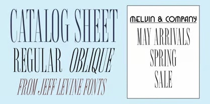 Beispiel einer Catalog Sheet JNL Oblique-Schriftart