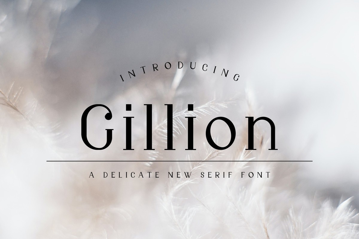 Beispiel einer Gillion Bold-Schriftart