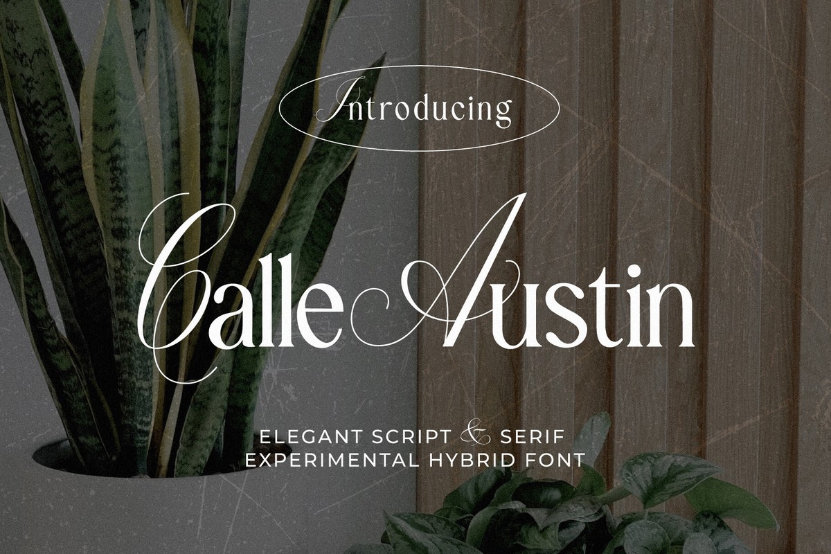 Beispiel einer Calle Austin-Schriftart