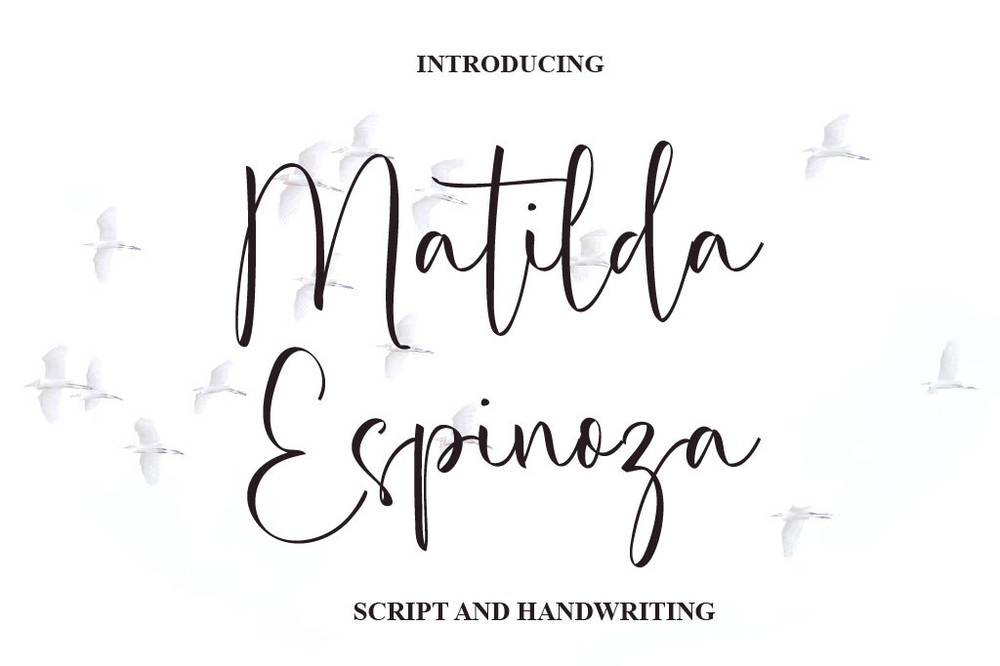 Beispiel einer Matilda Espinoza-Schriftart