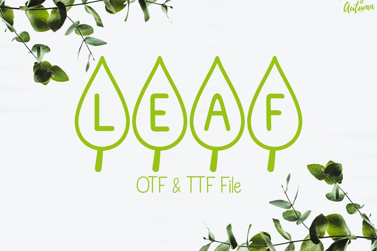 Beispiel einer Leaf Regular-Schriftart