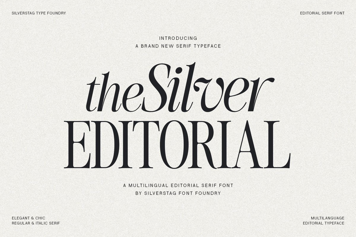 Beispiel einer The Silver Editorial Italic-Schriftart