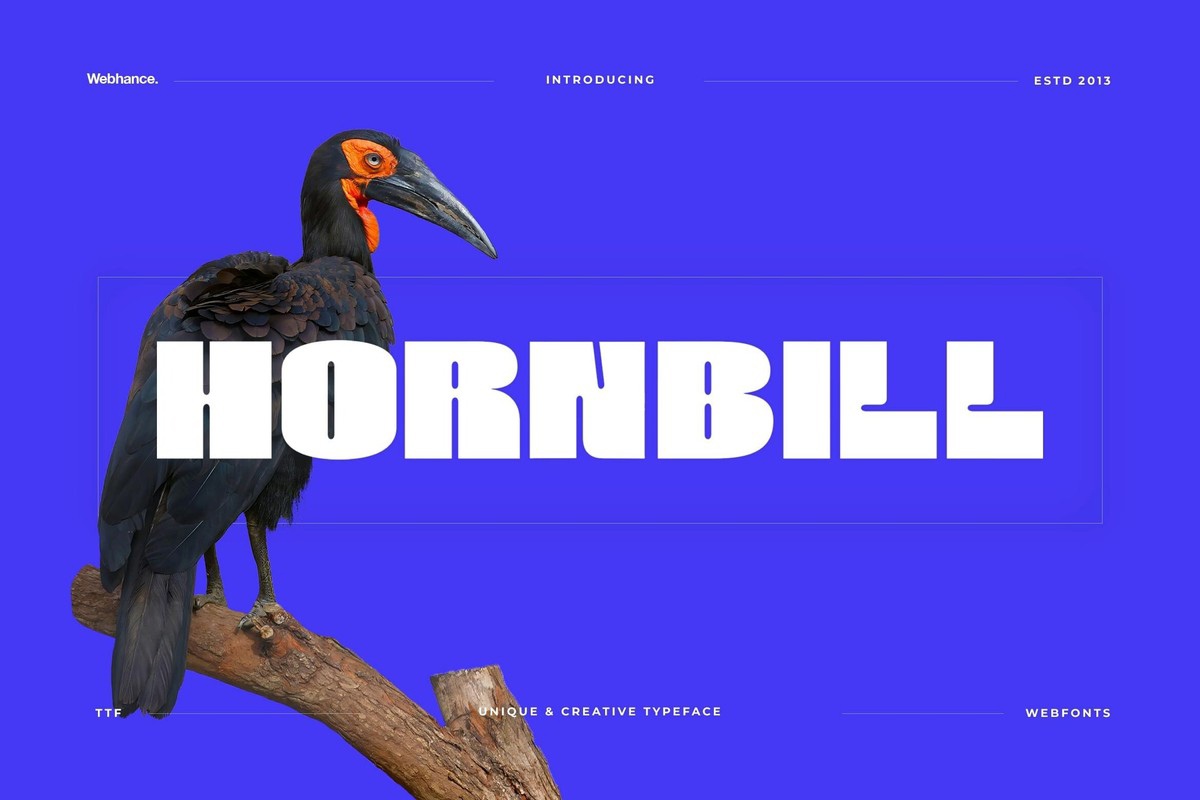 Beispiel einer Hornbill Display Bold-Schriftart