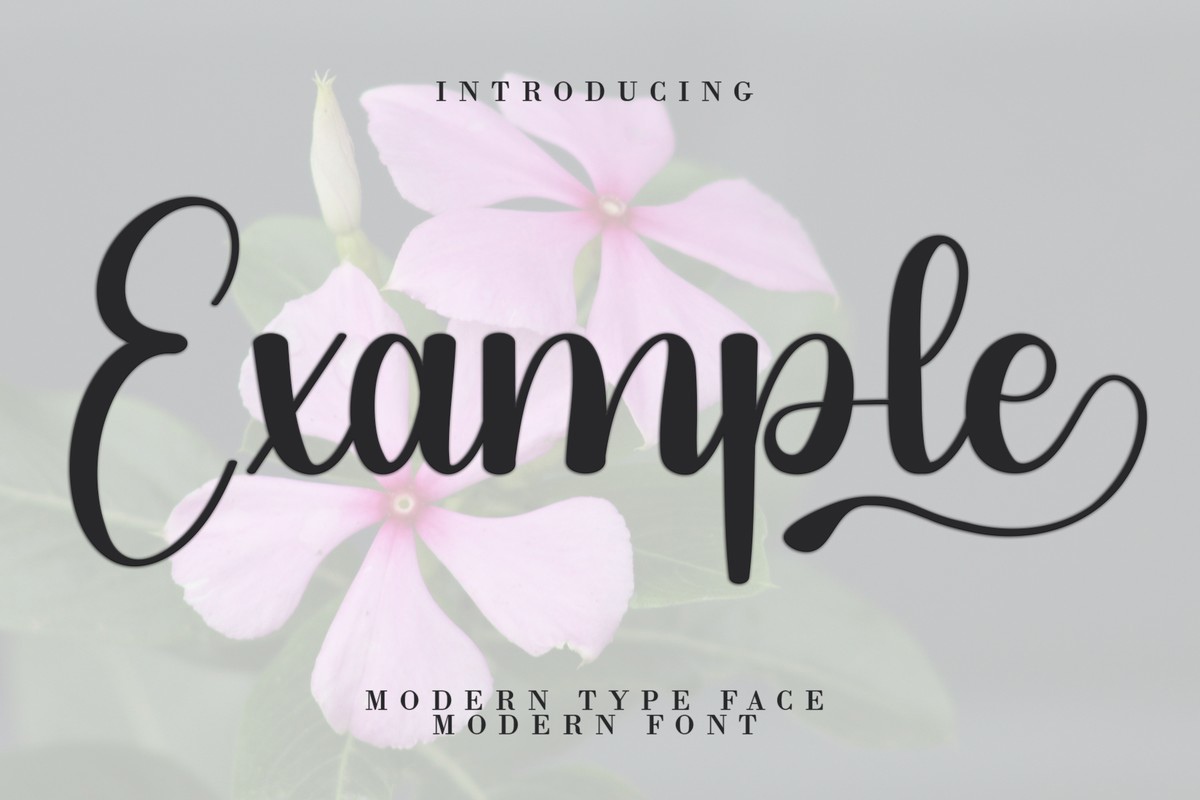 Beispiel einer Example-Schriftart