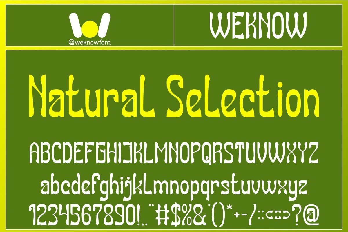 Beispiel einer Natural Selection Hollow Invers-Schriftart