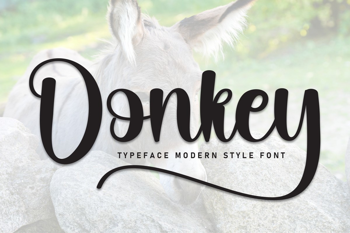 Beispiel einer Donkey Regular-Schriftart