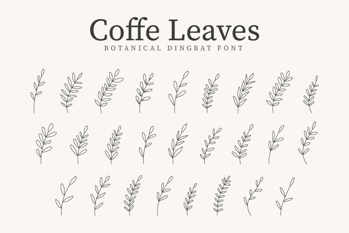 Beispiel einer Coffe Leaves-Schriftart