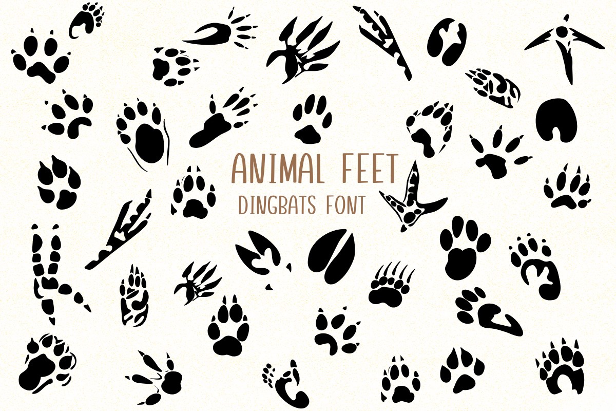 Beispiel einer Animal Feet Regular-Schriftart