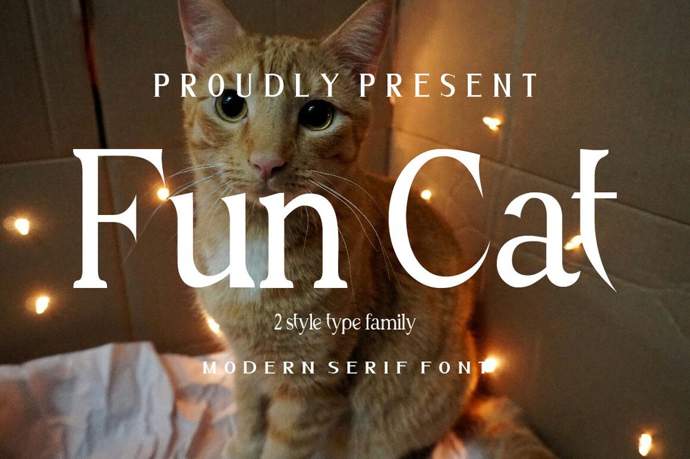 Beispiel einer Fun Cat-Schriftart