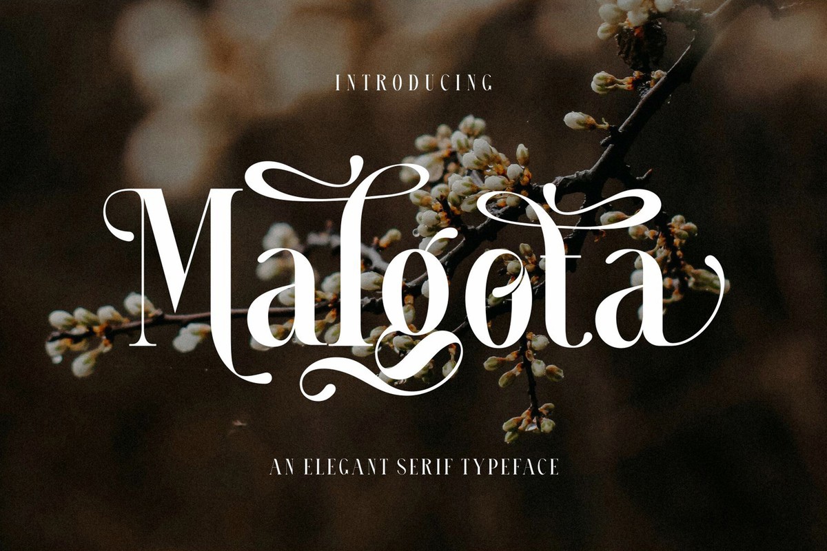 Beispiel einer Malgota Regular-Schriftart